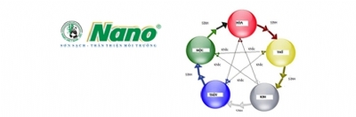 SƠN NANO TƯ VẤN PHỐI MẦU PHONG THỦY